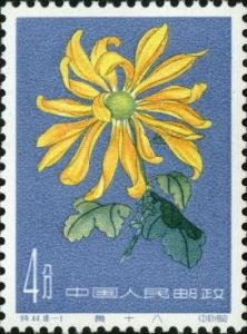 特44 《菊花》 特44 《菊花》