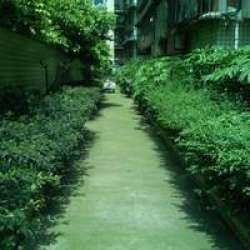 玉林橫街玉園 玉林橫街玉園