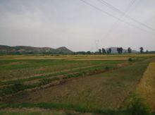 村西大橋北耕地