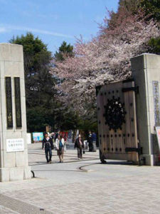 日本教育 日本教育