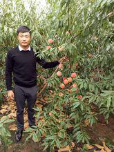 王志偉[山東省濰坊市青州市益豐苗木有限公司負責人]