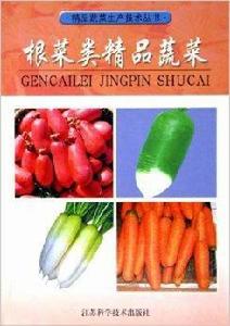 根菜類精品蔬菜 根菜類精品蔬菜