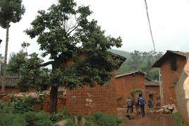 木宜庫村 木宜庫村