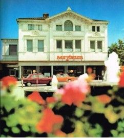 五月樹[家用電器]