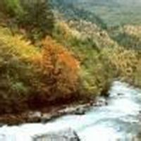 金馬太極地 金馬太極地