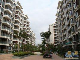 麗島小區 麗島小區