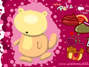 戴帽子的小熊 戴帽子的小熊