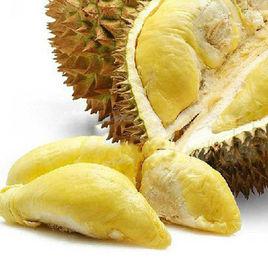 貓山王榴槤 貓山王榴槤