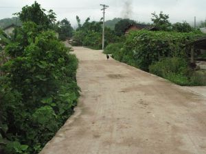 南幫河自然村 南幫河自然村