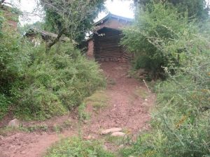 麥桿場村 麥桿場村