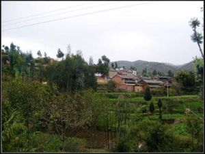 大下片村 大下片村