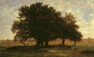 泰奧多爾·羅梭 泰奧多爾·羅梭