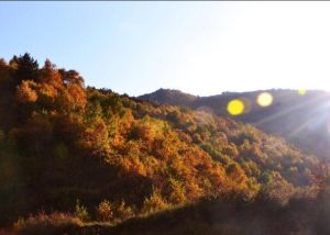 朔州市紫金山自然保護區 朔州市紫金山自然保護區