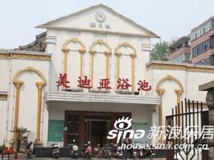 鬱金香苑 鬱金香苑