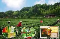 茶庵鋪鎮 茶庵鋪鎮