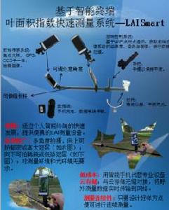 葉面積指數測量 葉面積指數測量