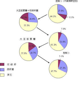 雙歧桿菌的增殖因子