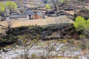 紅中自然村 紅中自然村