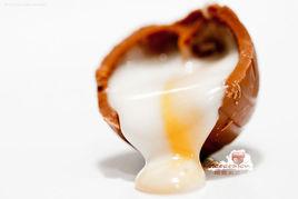 蛋白朱古力 蛋白朱古力