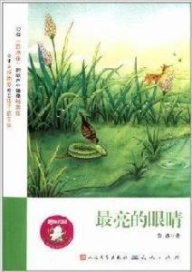 魯冰花園:最亮的眼睛 魯冰花園:最亮的眼睛