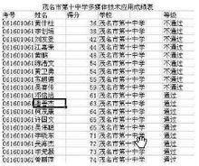 茂名市第十中學多媒技術套用成績單