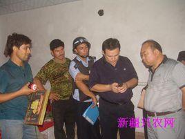 農三師伽師總場 農三師伽師總場