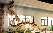 自貢恐龍博物館
