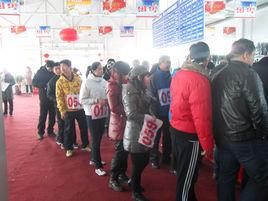 速度青春 速度青春