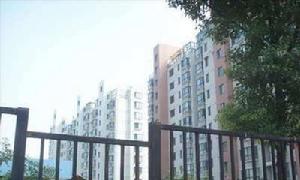 新康星辰 新康星辰