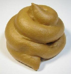 糞便 糞便