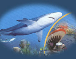 珠海海洋生態館