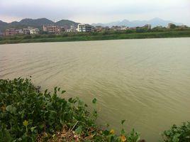 湖坂村[福建省仙遊縣蓋尾鎮湖坂村]