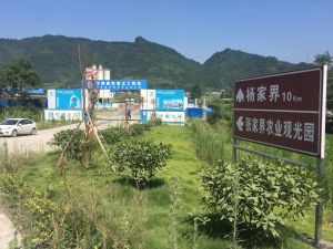 縣道三岔口旁指示牌