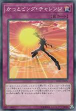 No.卡專用陷阱卡卡圖