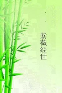 紫薇經世 紫薇經世