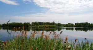 北京房山花田濕地(長溝) 北京房山花田濕地(長溝)