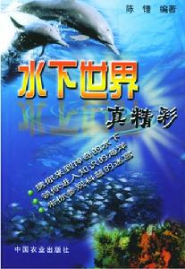 水下世界真精彩