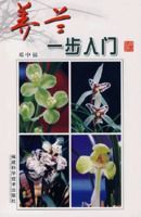 養蘭一步入門 養蘭一步入門