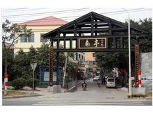 南亭村[廣東省廣州市番禺區小谷圍街下轄村]