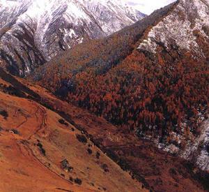 清涼峰國家級自然保護區