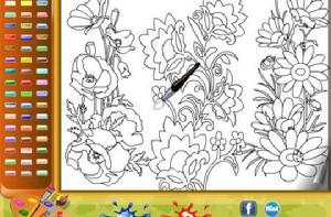 盛開的花朵 盛開的花朵