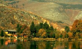 白龍潭村[雲南省玉溪市江川縣大街鎮白龍潭村]