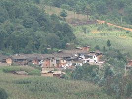 寶山村[雲南省峨山縣雙江鎮寶山村民委員會下轄村]