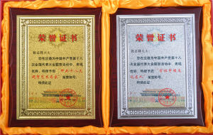 “中共十八大題賀藝術名家”和“百位中國文化名人”