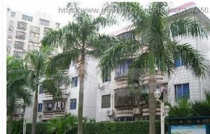 天景山莊西區 天景山莊西區