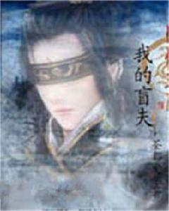 我的盲夫 我的盲夫