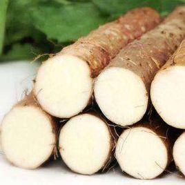 冀村長山藥 冀村長山藥