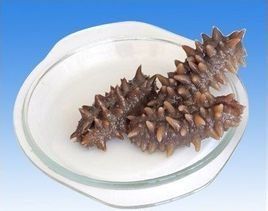 拉缸鹽海參 拉缸鹽海參