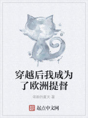 穿越後我成為了歐洲提督 穿越後我成為了歐洲提督