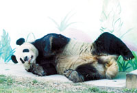 1989年8月31日 1989年8月31日